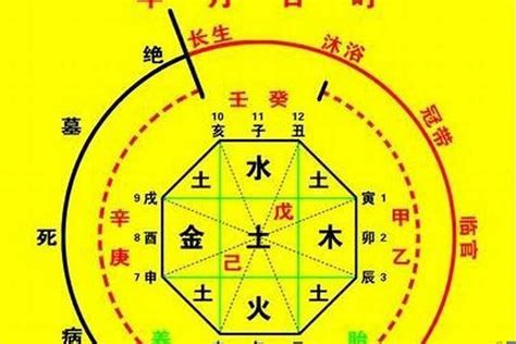 八字陰陽比例|生辰八字算命、五行喜用神查询（免费测算）